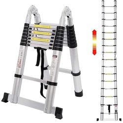 Dual Telescopic Ladder