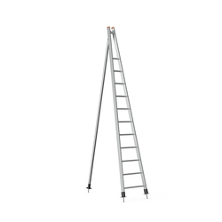 Garden Ladder